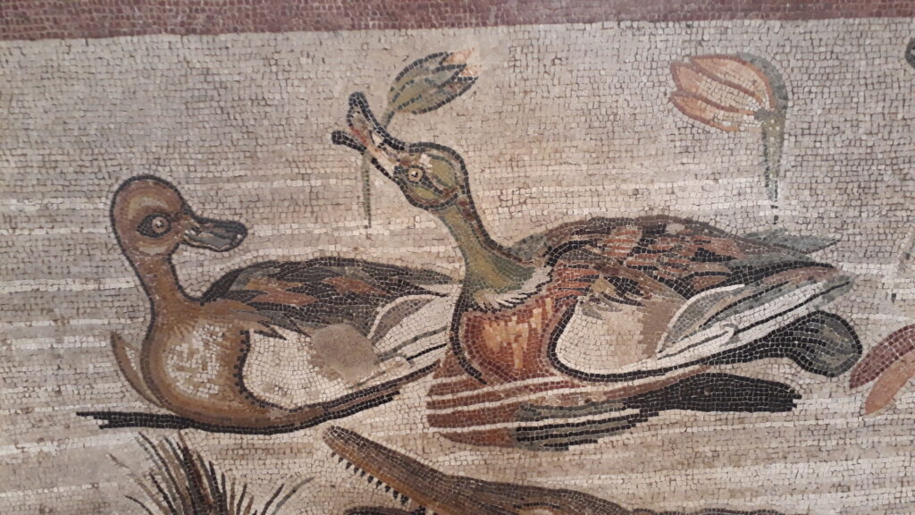 The ancient mosaic of two ducks, from Pompej. 