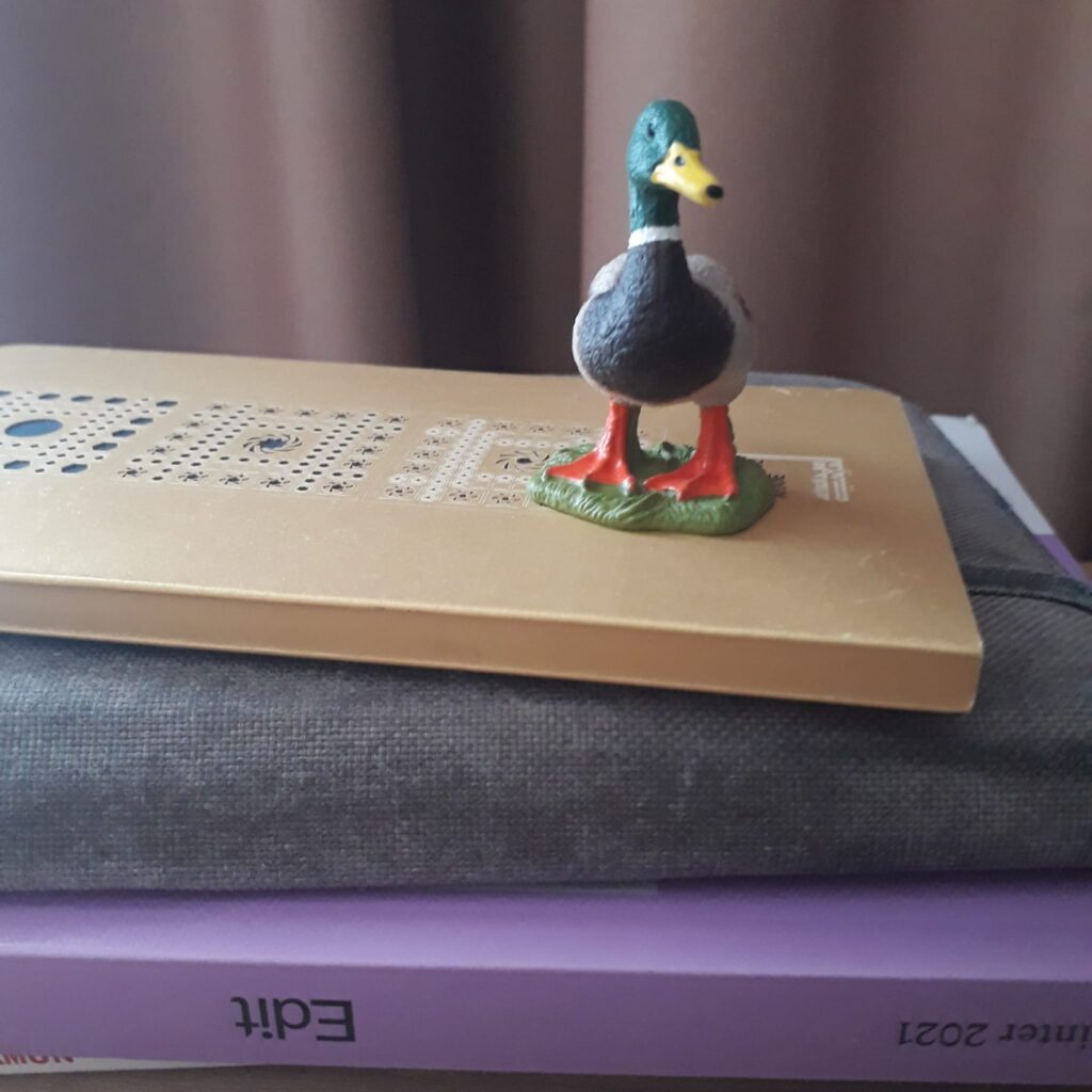 Ein kleine Plastikente auf einem Stapl Bücher, obenauf liegt ein goldenes Notizbuch, darunter ein abgegriffenes Ebook und darunter wieder eine fliederfarbene Ausgabe der Literaturzeitschrift Edit. 